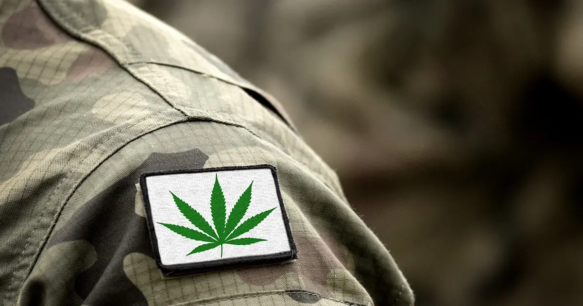 article cbd.org
